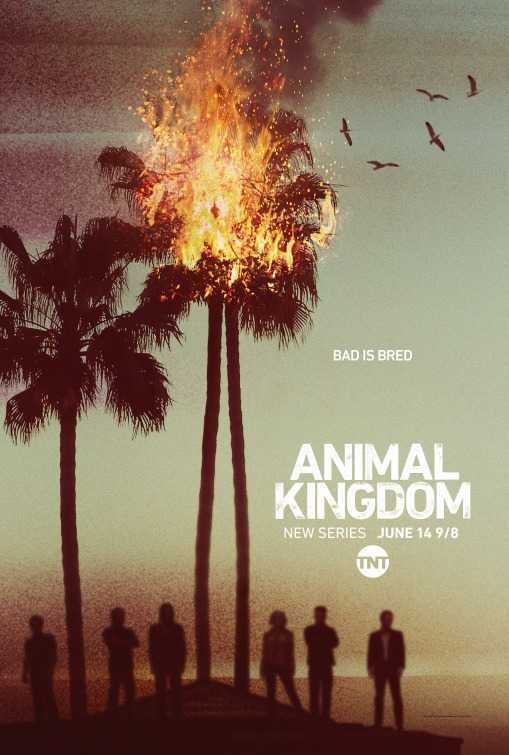 مسلسل Animal Kingdom الموسم الاول الحلقة 6