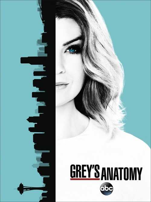 مسلسل Greys Anatomy الموسم 13 الحلقة 9
