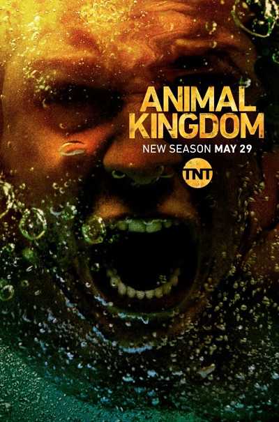مسلسل Animal Kingdom الموسم الثالث الحلقة 6