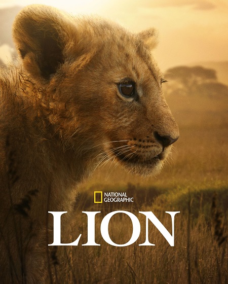 مسلسل Lion الحلقة 4 مترجمة
